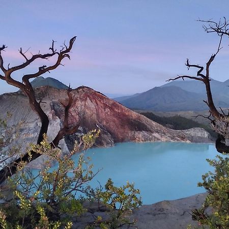 Nio Homestay And Tour Licin Экстерьер фото
